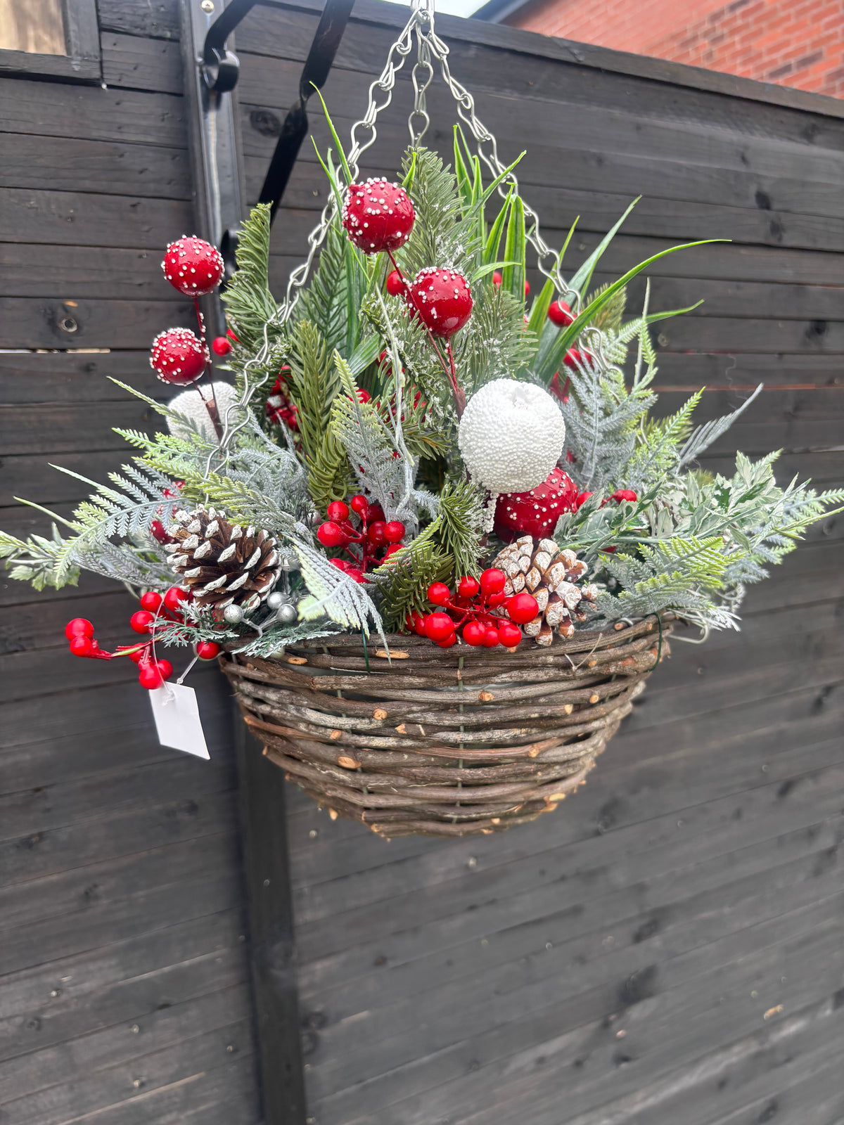 Christmas mixed berry standard hanging basket